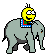 elephant [ele]