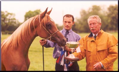 Shaikh Al Kurali - Overall & Junior In-Hand Champion