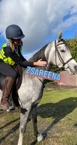 Zsareena