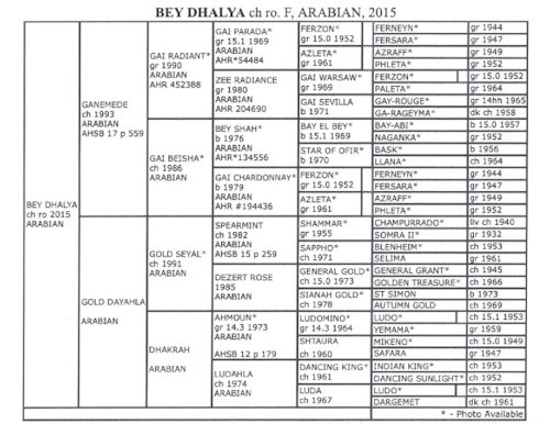 Bey Dahlya